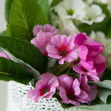 Le Nobili Dimore - A 갈리폴리