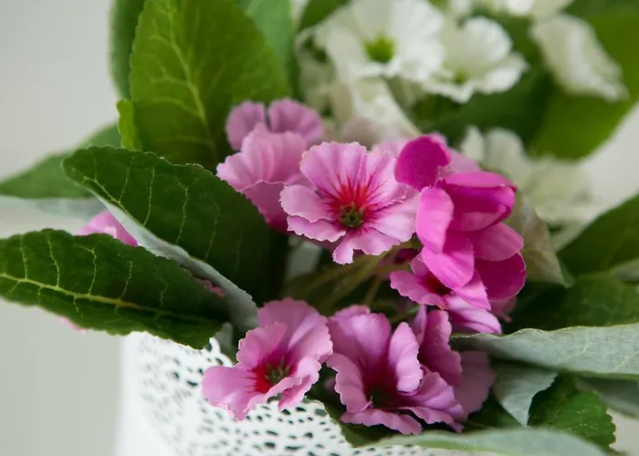 Le Nobili Dimore - A Gallipoli