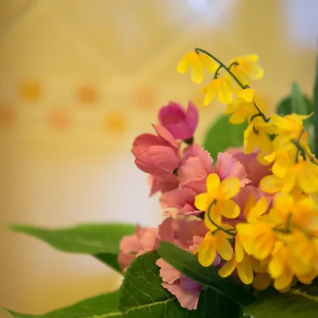 Le Nobili Dimore - A * Галліполі